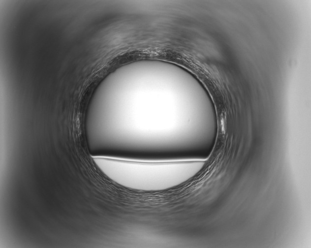 X0000093611347200710151008