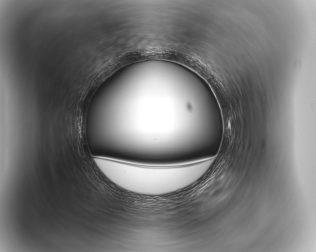 X0000093611348200710151008