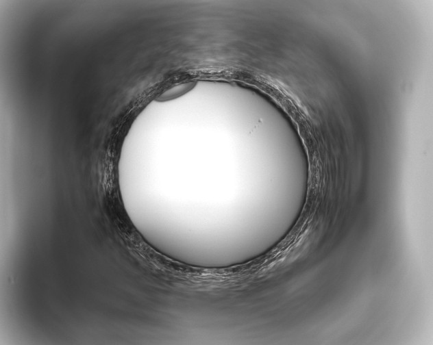 X0000093611350200710151008
