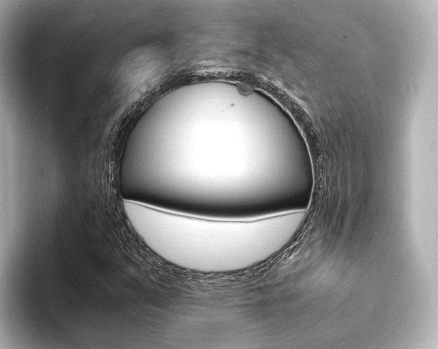X0000093611351200710151008