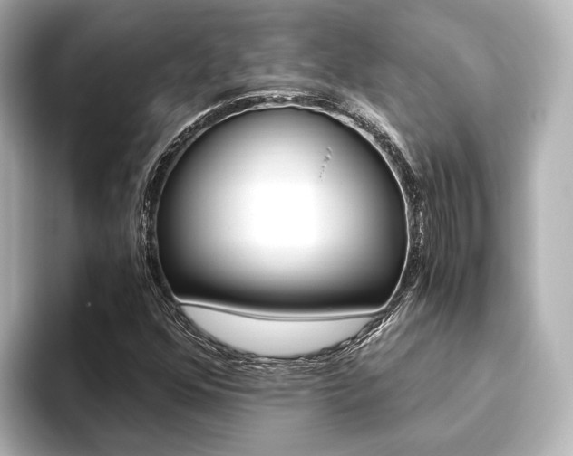 X0000093611352200710151008