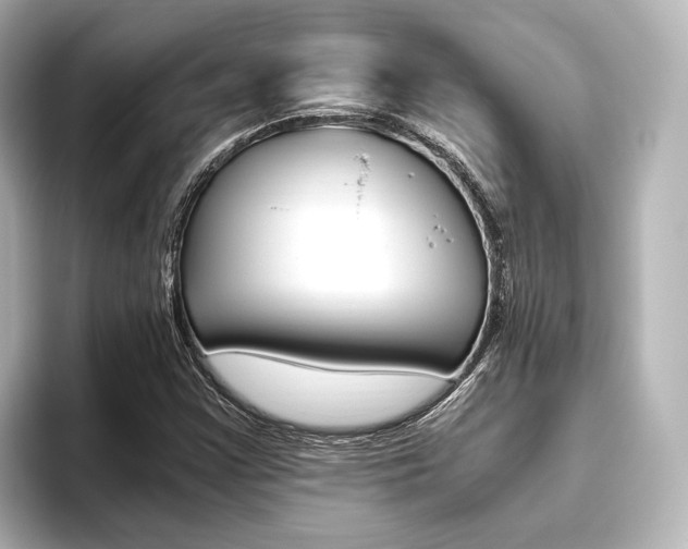X0000093611355200710151008