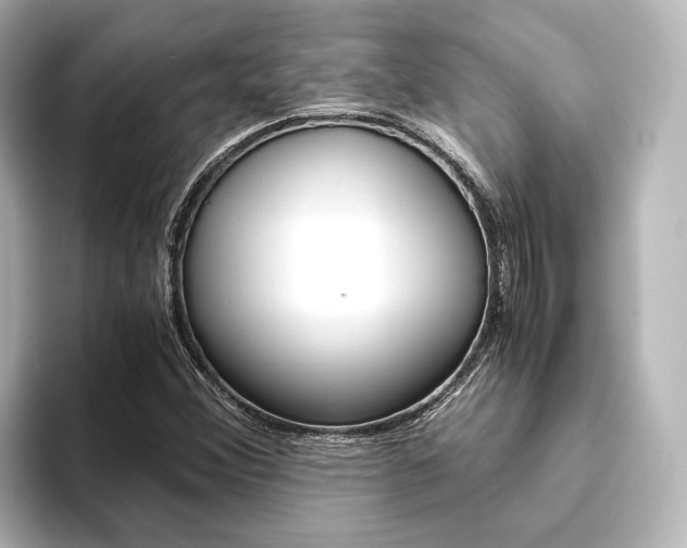 X0000093611356200710151008