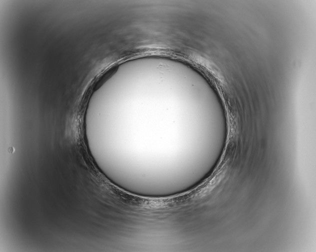 X0000093611357200710151008