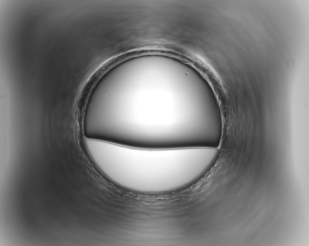 X0000093611360200710151008