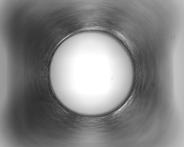 X0000093611361200710151008