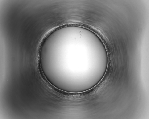 X0000093611363200710151008