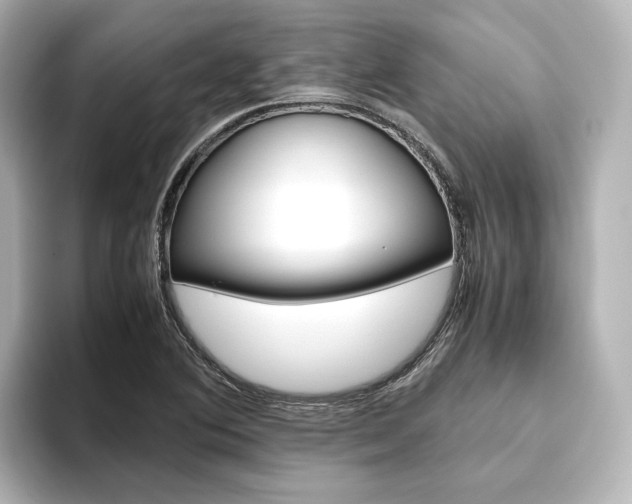 X0000093611364200710151008