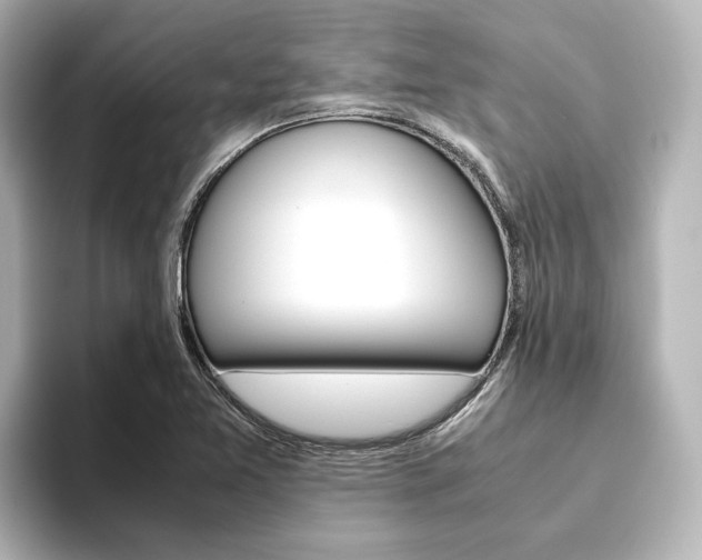 X0000093611365200710151008