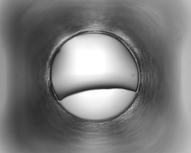 X0000093611366200710151008