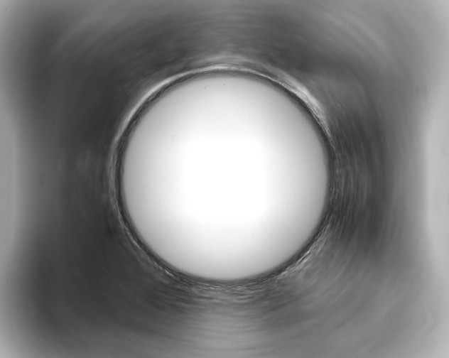 X0000093611368200710151008