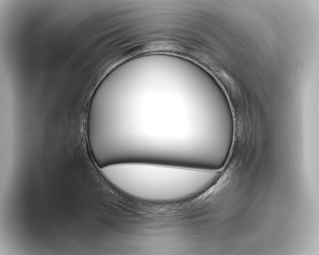 X0000093611369200710151008