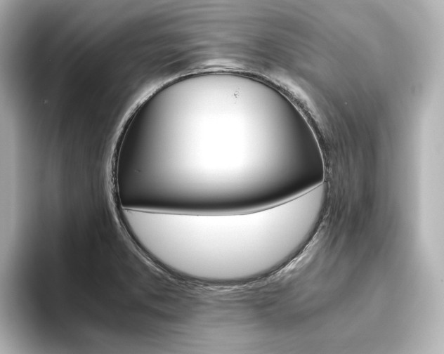 X0000093611373200710151008