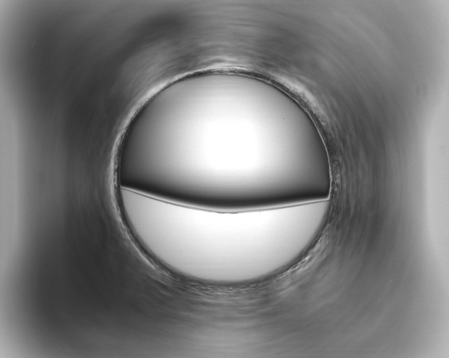 X0000093611375200710151008