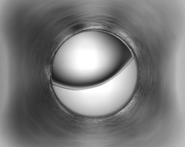 X0000093611377200710151008