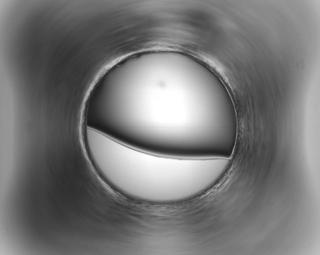 X0000093611379200710151008