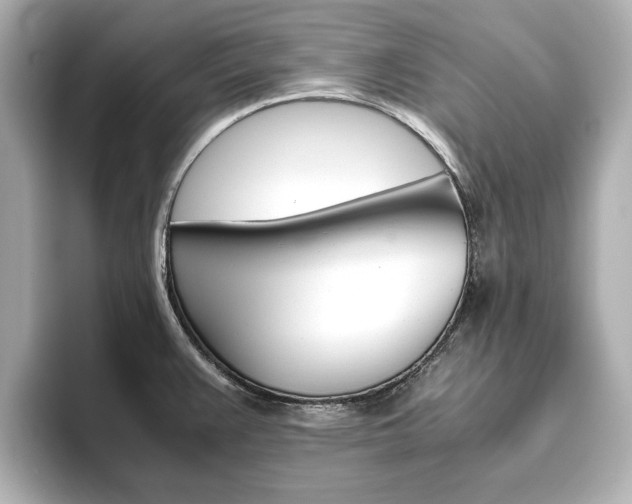 X0000093611383200710151008