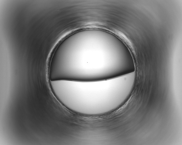 X0000093611384200710151008