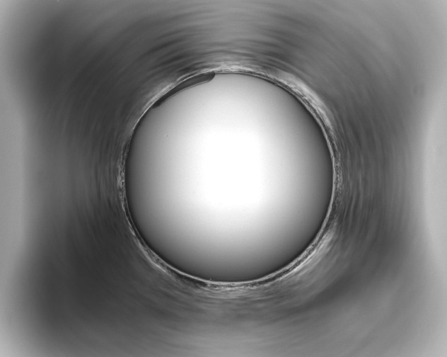 X0000093611385200710151008