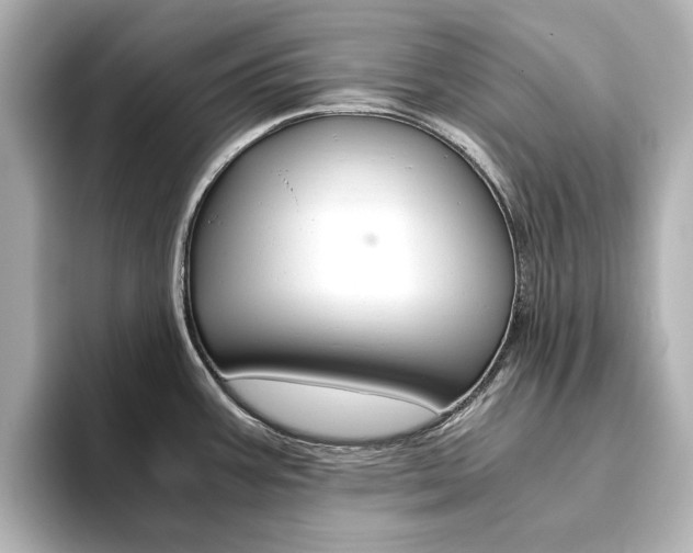 X0000093611387200710151008
