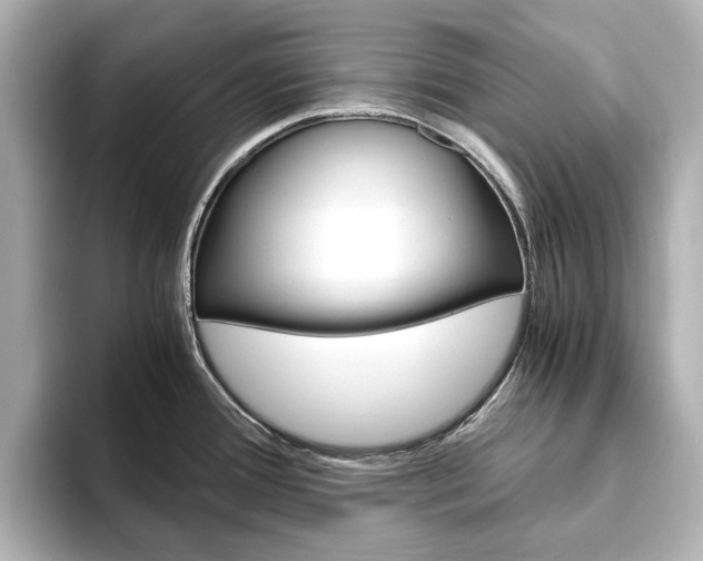 X0000093611388200710151008