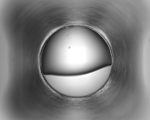 X0000093611389200710151008
