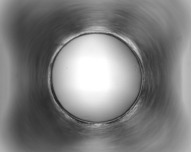 X0000093611390200710151008