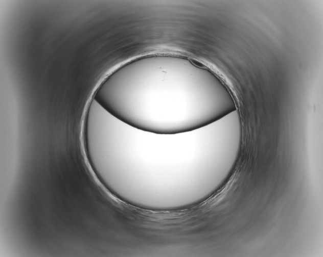 X0000093611391200710151008