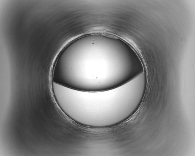 X0000093611392200710151008