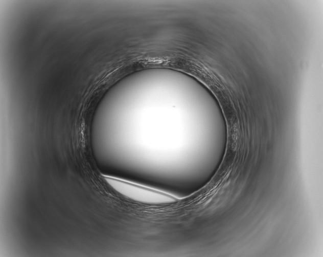 X0000093611394200710151007