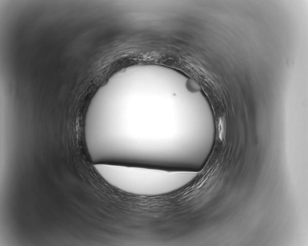 X0000093611395200710151007