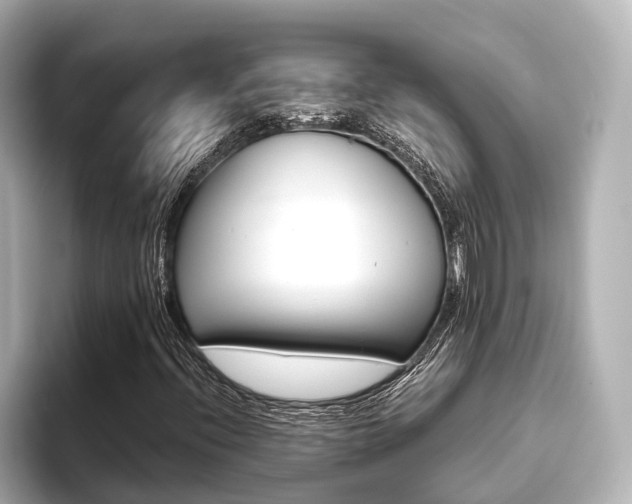 X0000093611396200710151007