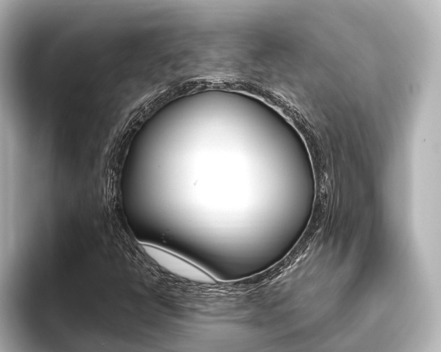 X0000093611398200710151007