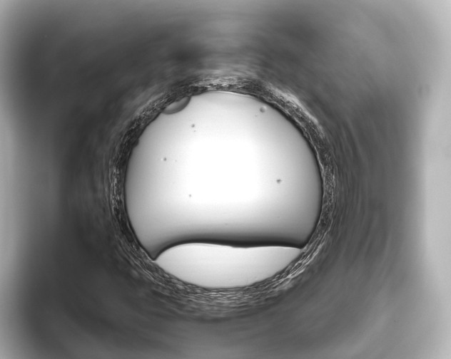 X0000093611399200710151007
