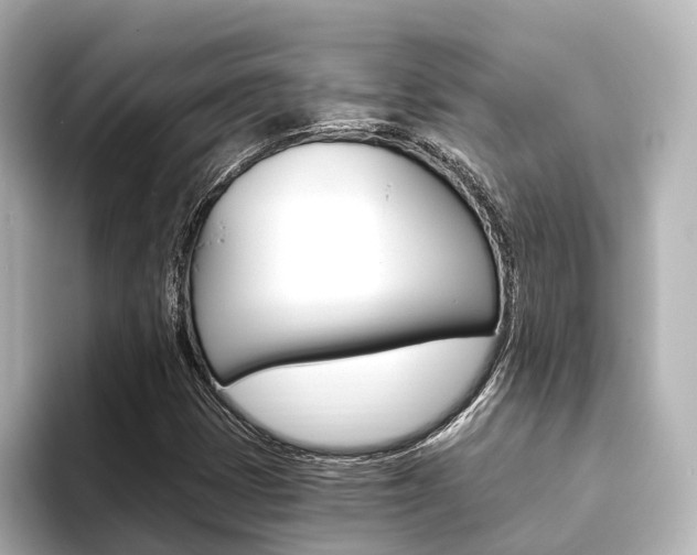 X0000093611401200710151007