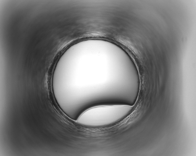 X0000093611404200710151007