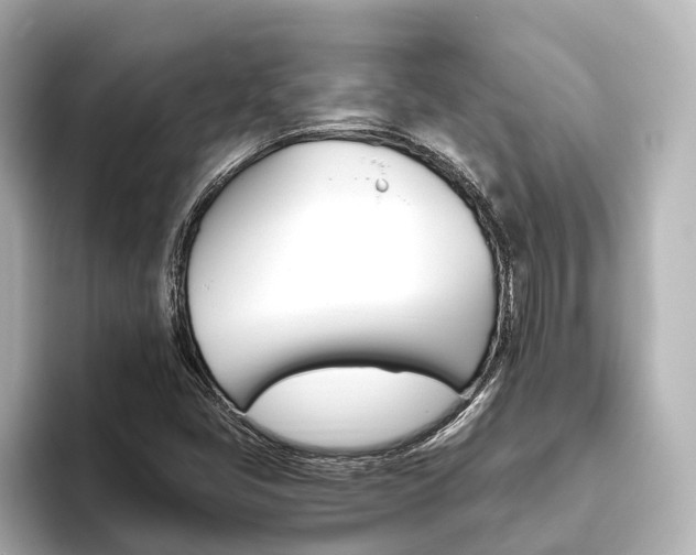 X0000093611405200710151007