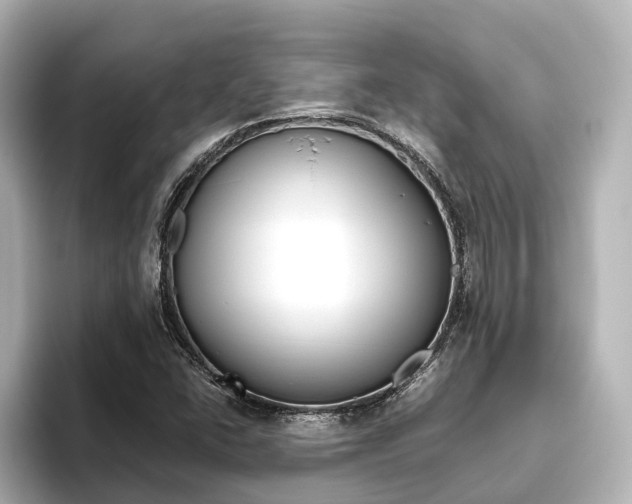 X0000093611406200710151008