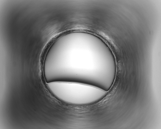 X0000093611408200710151008