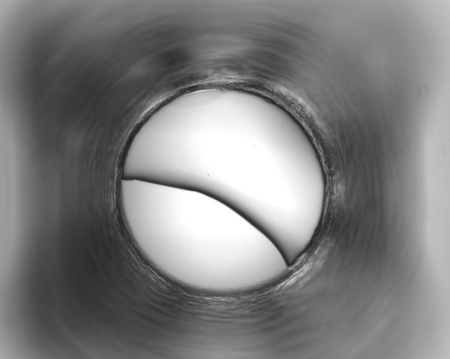 X0000093611409200710151008