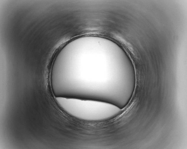 X0000093611411200710151008