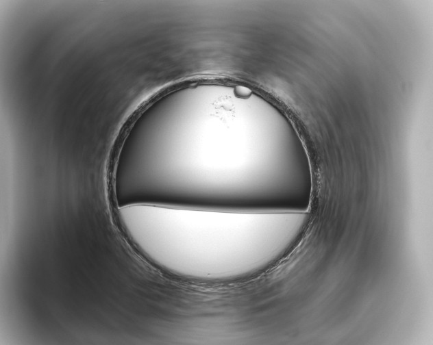 X0000093611412200710151008