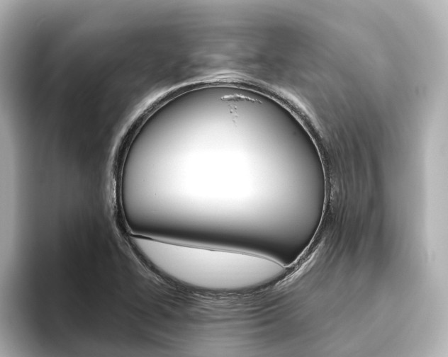 X0000093611414200710151008