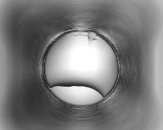 X0000093611415200710151008