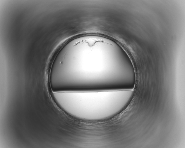 X0000093611416200710151008