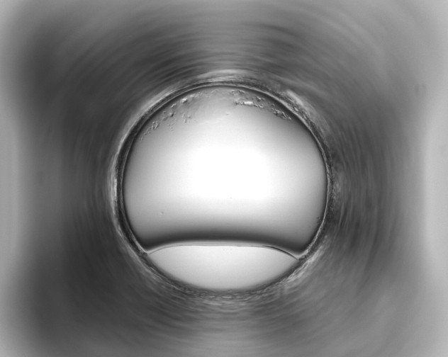 X0000093611418200710151008