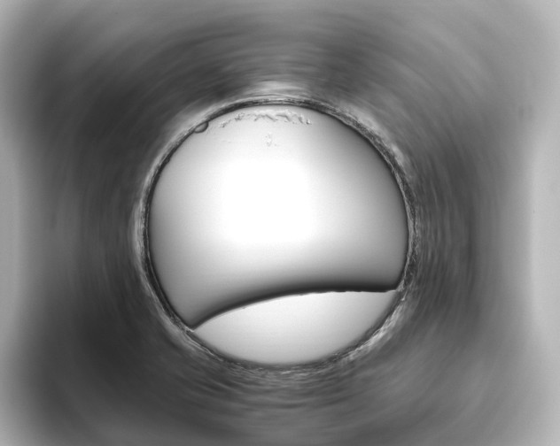 X0000093611421200710151008