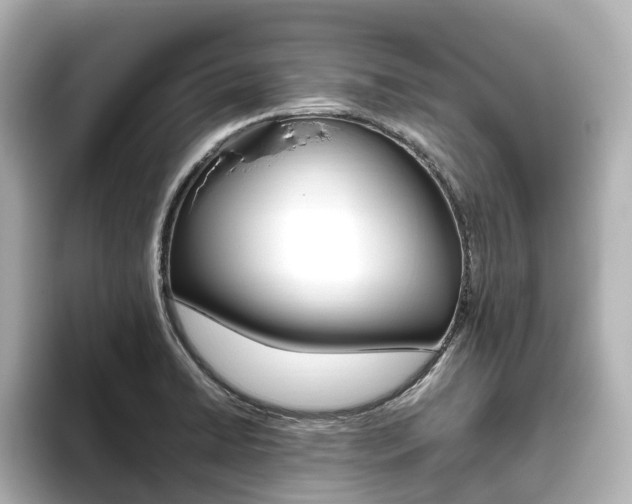 X0000093611422200710151008