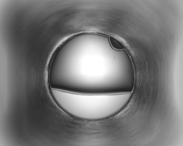 X0000093611424200710151008