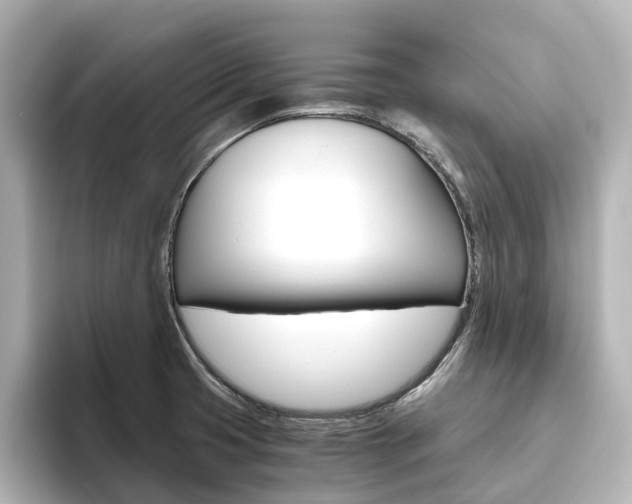 X0000093611425200710151008